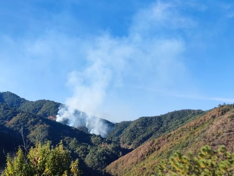 Controla COESFO incendio forestal en Santa Inés del Monte