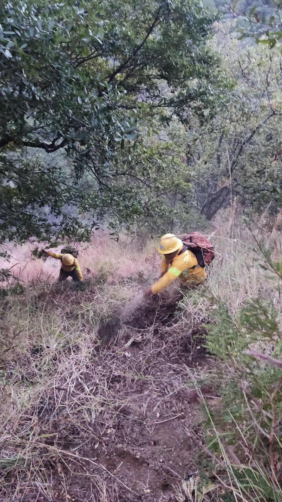 Controla Coesfo Incendio Forestal En Santa In S Del Monte