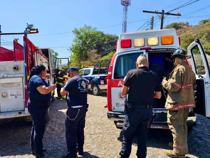 Abejas asesinas atacan a motociclista en carretera Tepic-Bellavista