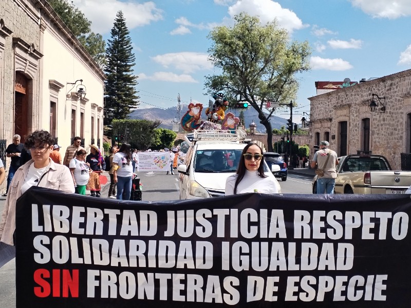 Activistas exigen prohibir la tauromaquia en Michoacán