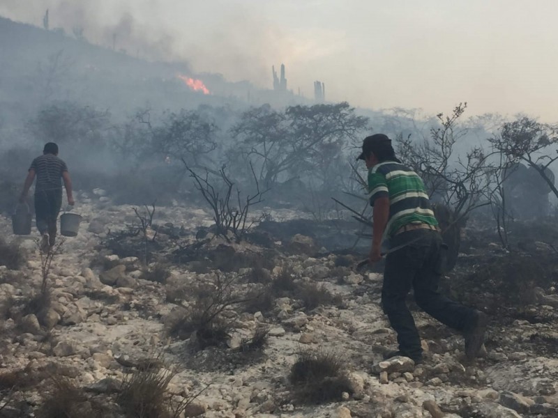 Afectan incendios 100 hectáreas en reserva de la biosfera