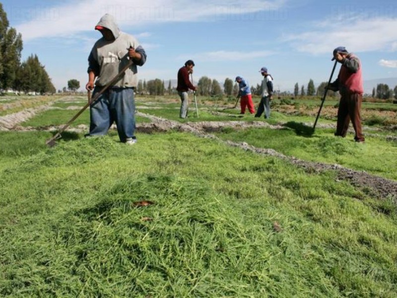 Agroindustriales alertan golpe por aranceles