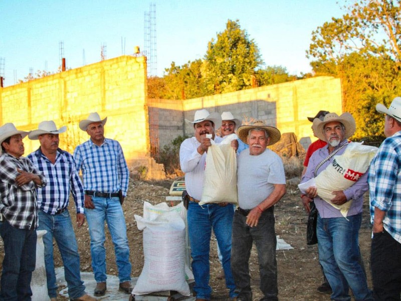 Arrancan en SaMaO Programa de Alimentación para Ganado durante estiaje