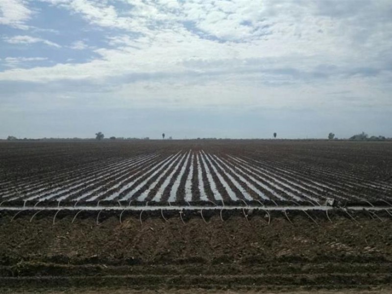 Aumenta demanda de agua para riego agrícola