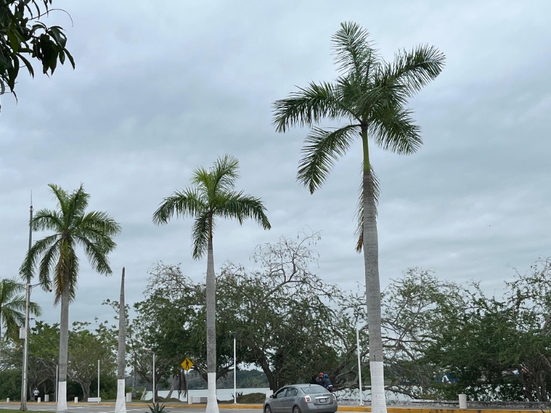 Avanza frente frío número 25 en Veracruz