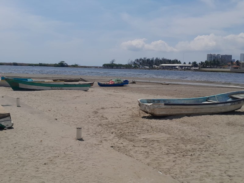 Azolve del río Jamapa disminuye producción de pescadores
