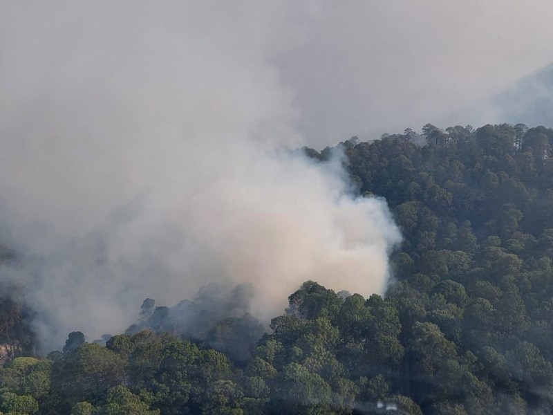 Brigadistas atienden incendio en Zinapécuaro