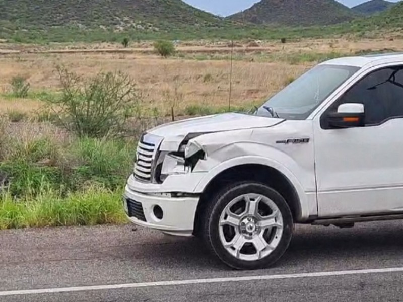 Camioneta choca con una vaca en San Carlos