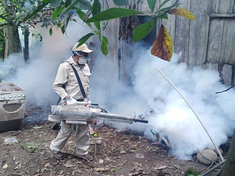 Cierra 2024 con 44 decesos por dengue en Oaxaca