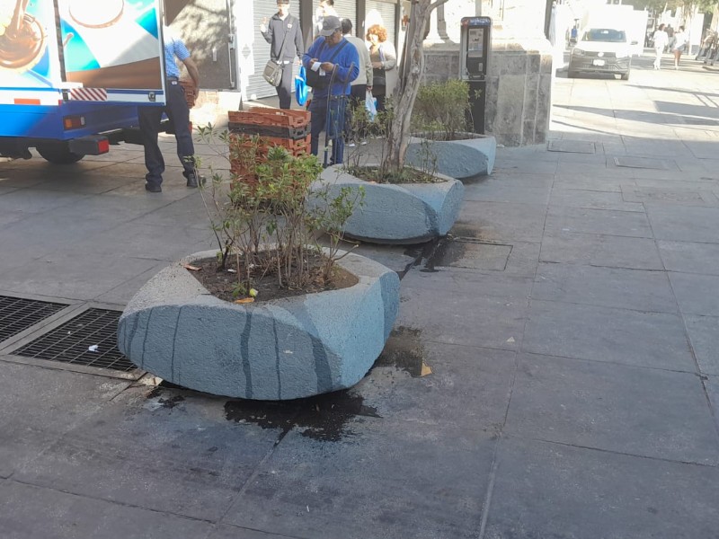 Colocan macetones para evitar paso vehicular en centro histórico