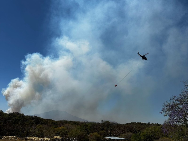 Combaten incendio forestal al norponiente de La Primavera