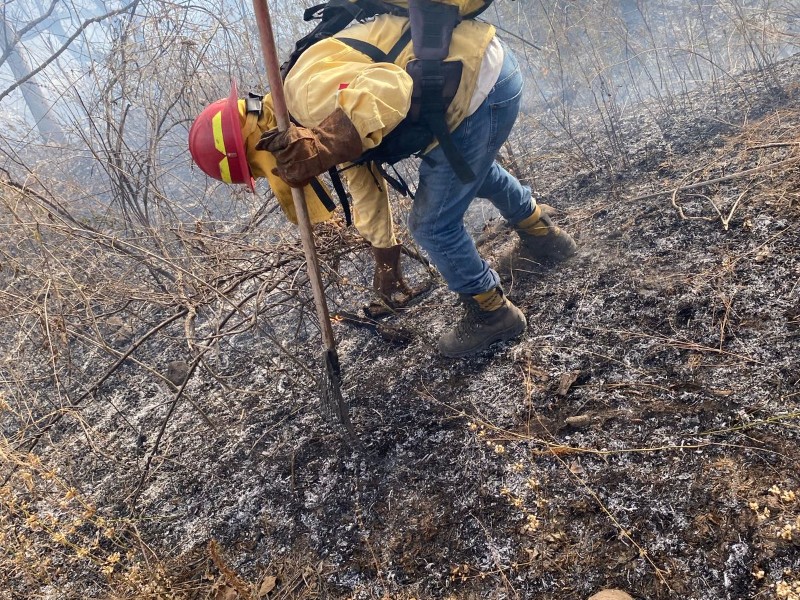 Combaten incendio forestal en La Primavera