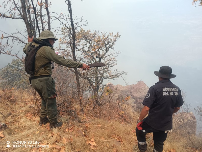CONAFOR y PC combaten incendio forestal en Moyahua