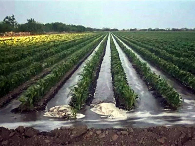 Conagua detecta 7 mil irregularidades en concesiones de agua