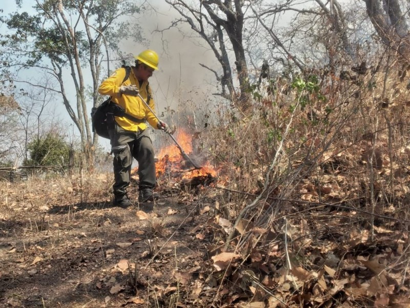 Confirman incendios forestales en Villa de Álvarez, Minatitlán y Coquimatlán