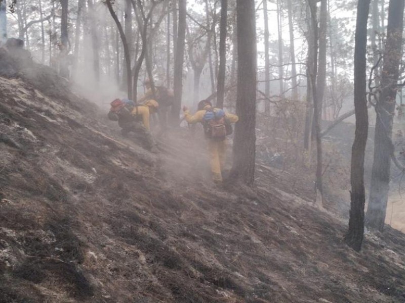 Controlan Incendio Forestal En Tapalpa Meganoticias 2624