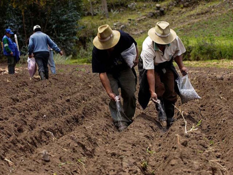 Crisis económica no distingue sectores