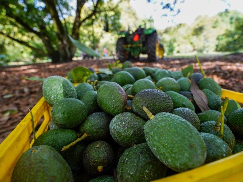 ¿Cuáles son los productos afectados por el 25% en aranceles?