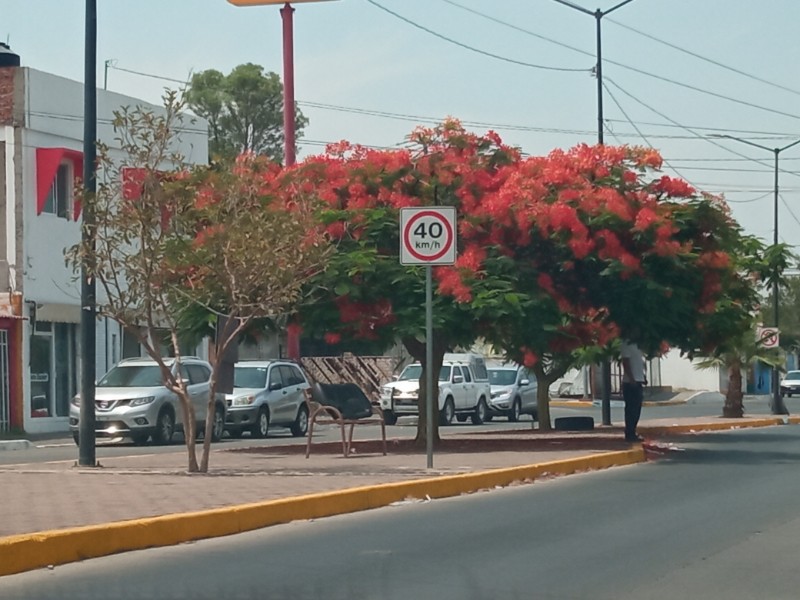 Datos curiosos de la llegada de la primavera