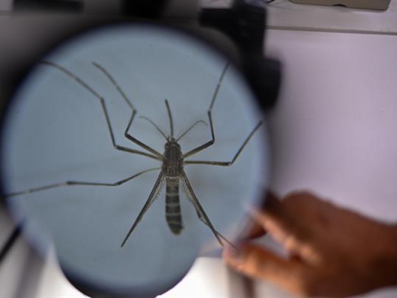 Dengue cubrirá mayor parte de Brasil y México para 2039