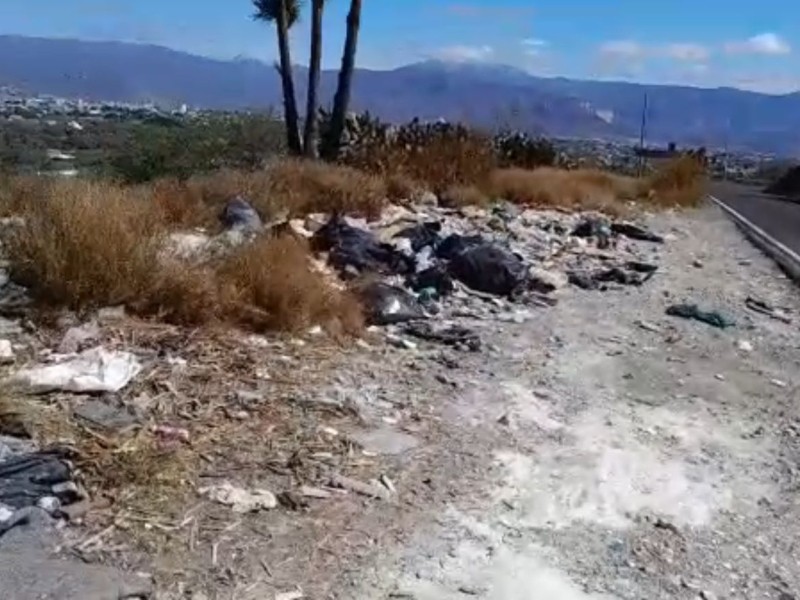 Denuncian tiradero de basura a orilla de carretera federal