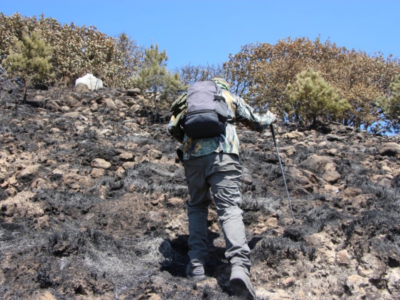 Desactivan alerta atmosférica tras liquidación de incendio forestal