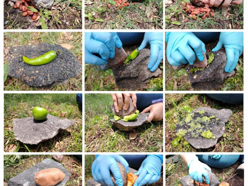 Descubren restos de plantas domesticadas en Xochimilco