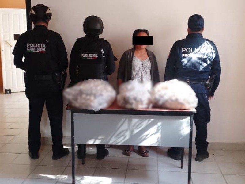 Detienen a mujer con 2 mil huevos de tortuga