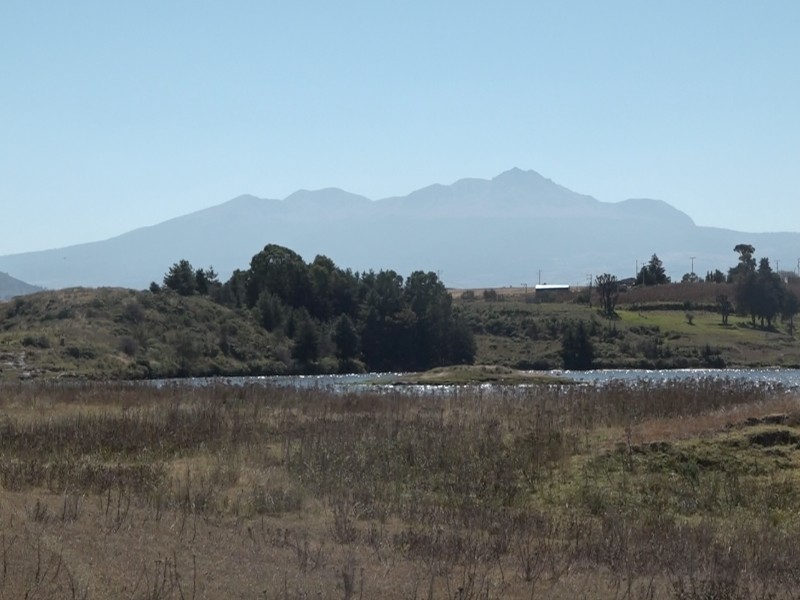 Edomex refugio para aves migratorias en época invernal