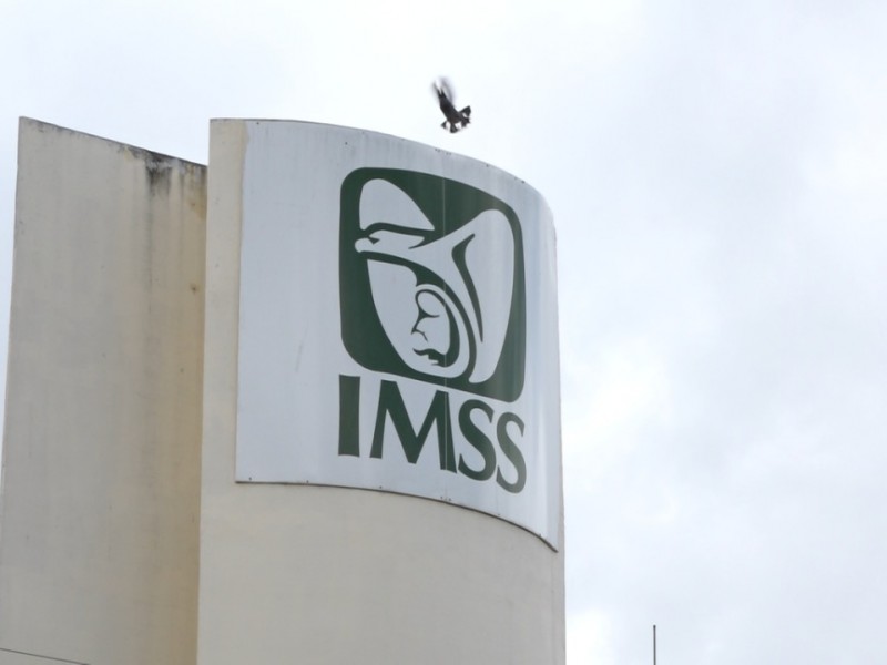 Ácido fólico, vitamina esencial para todas las personas: IMSS - El