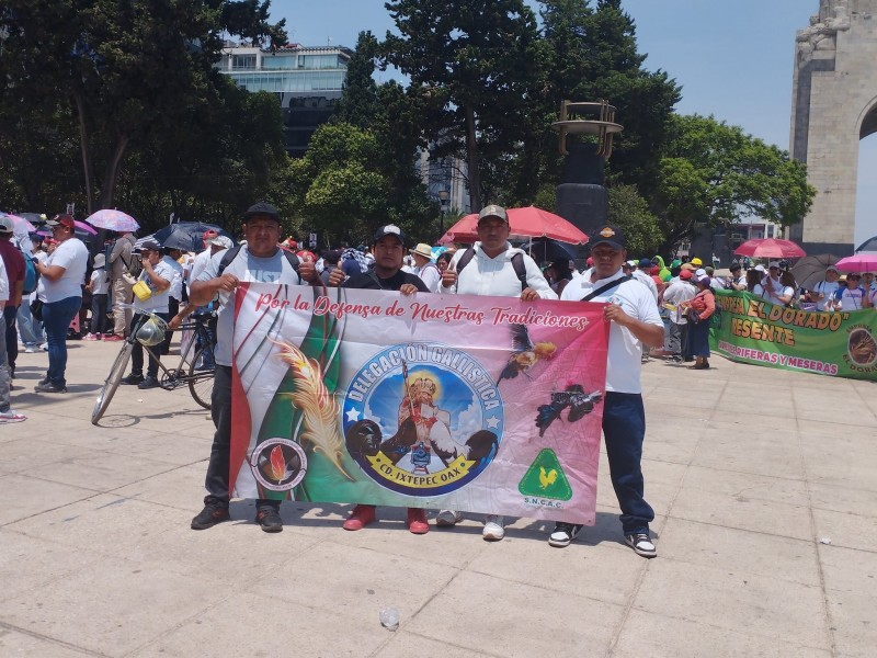 En defensa de tradiciones mexicanas marcha delegación gallística de Ixtepec