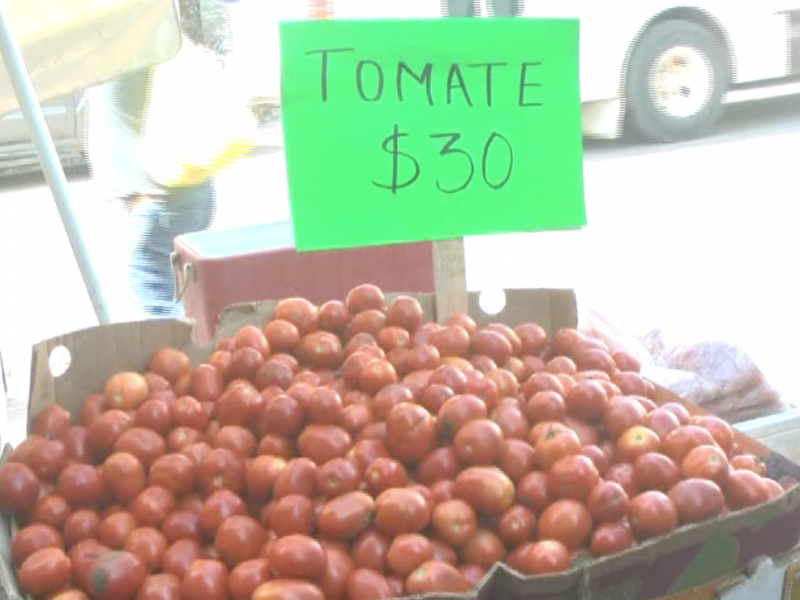 Encarecimiento de tomate disminuye ventas