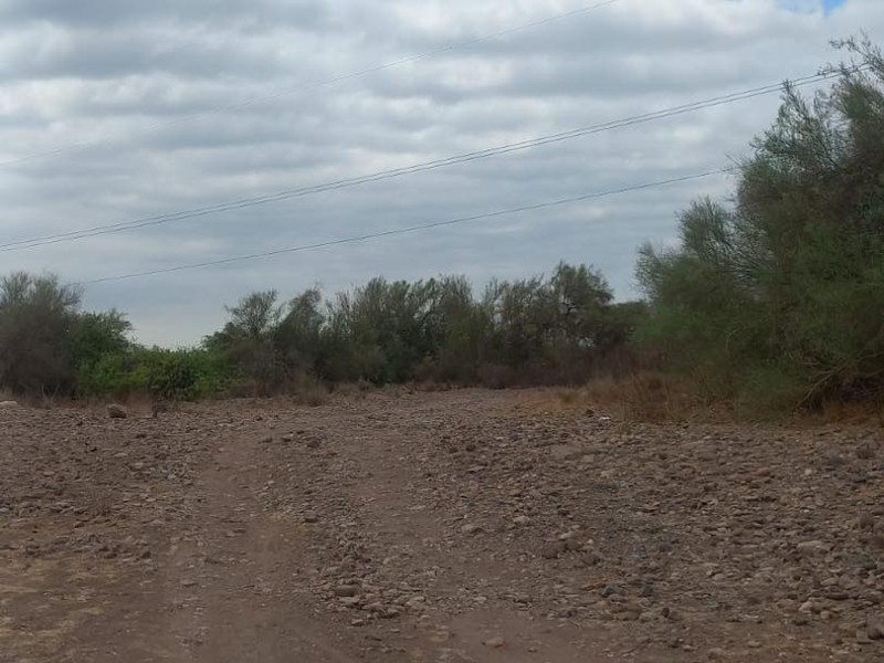 Encuentran osamenta en carretera Guaymas-Hermosillo