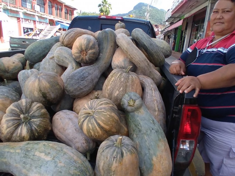 Esta temporada hubo poca producción de calabaza criolla