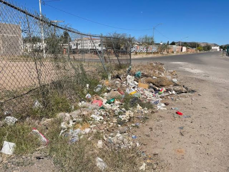 Estos son los reportes que más recibe la Patrulla Verde