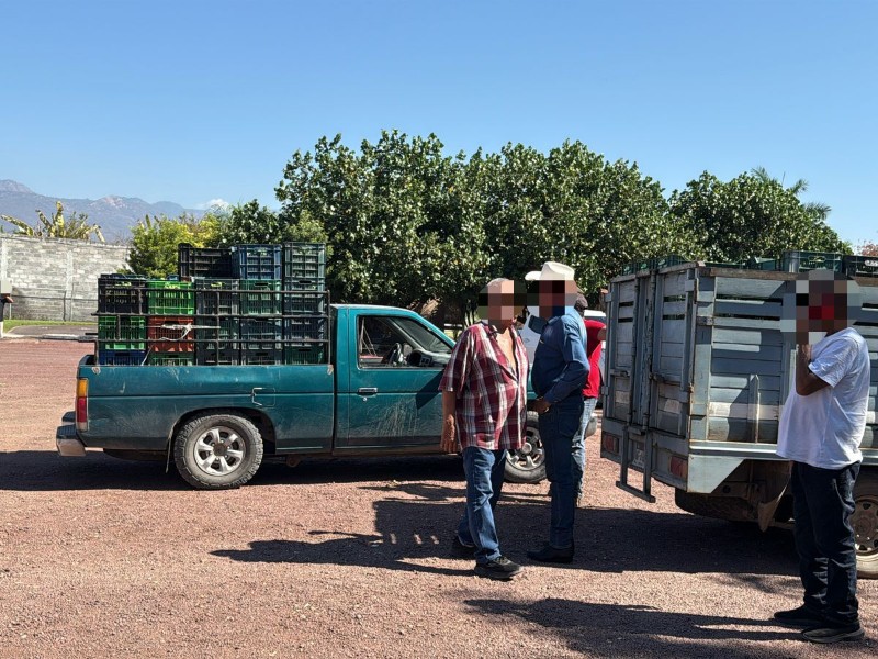 Ex autodefensas son quienes extorsionan a los limoneros