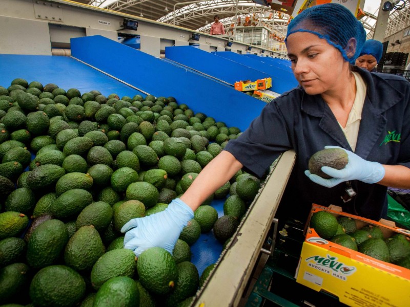 Exportaciones agroalimentarias alcanzan $33.276 millones en julio 2024