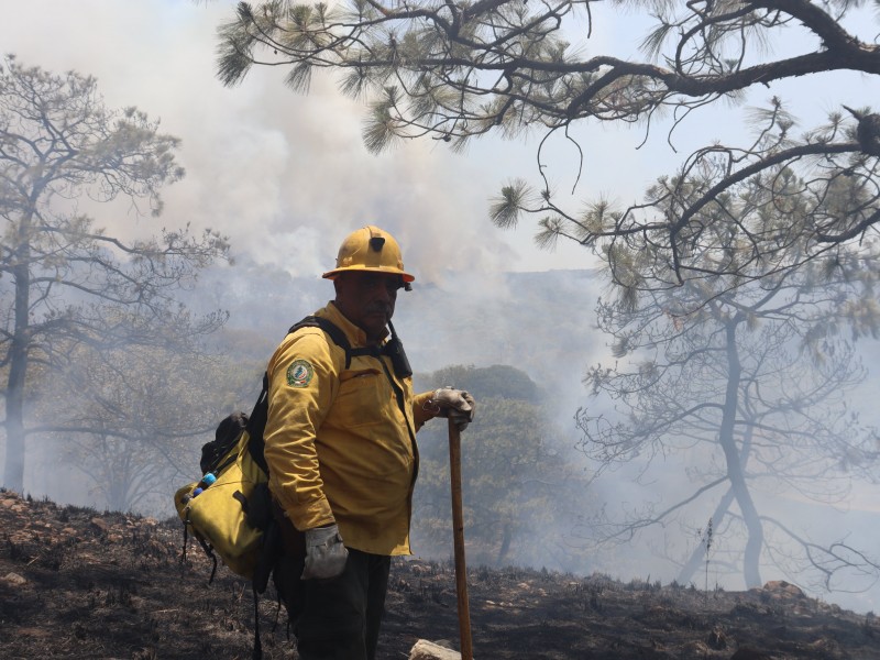 Extinguen incendio forestal en el paraje El Colli