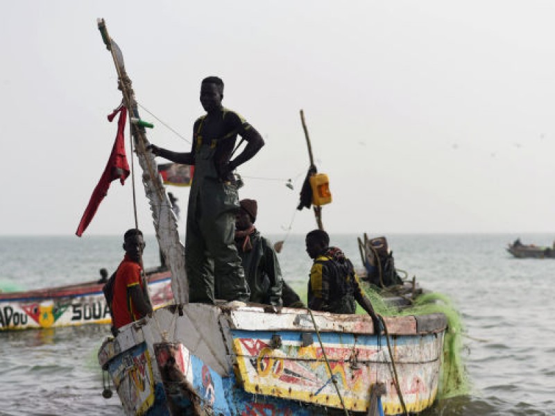 Extraña enfermedad azota Senegal, contagia a más de 500