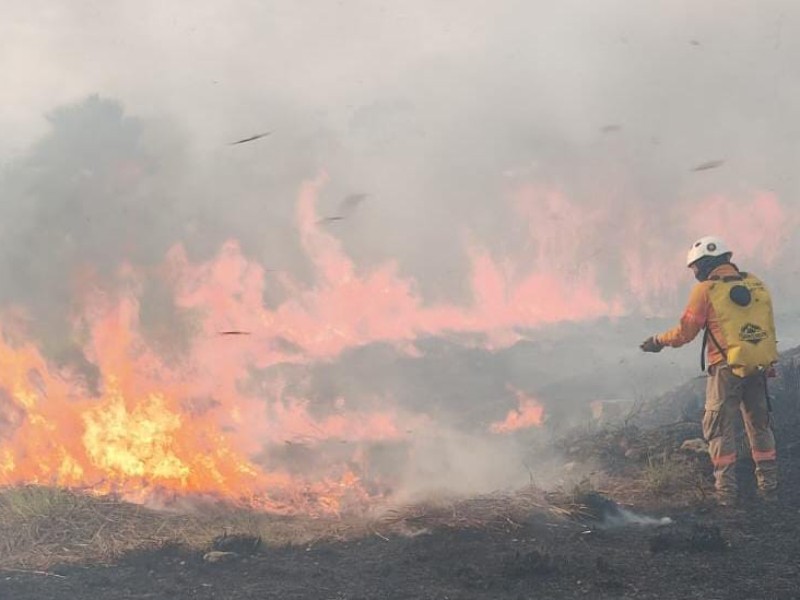 Fuerte incendio de pastizal afecta a habitantes de los Manguitos