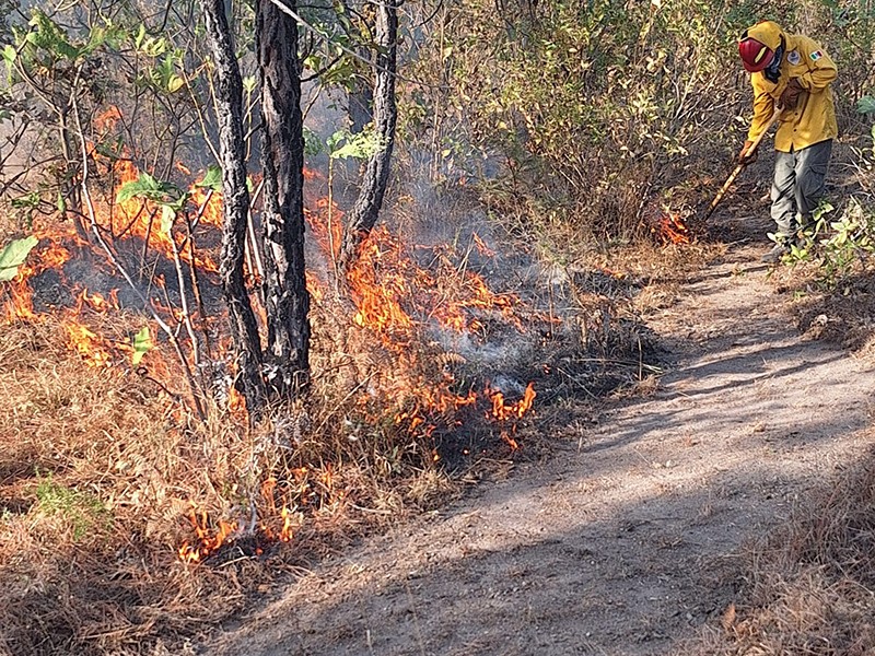 Fuerte incendio forestal afecta paraje de Tapalpa