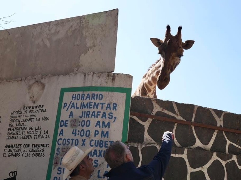 Gobierno dará apoyo a Zoológico de Wamerú