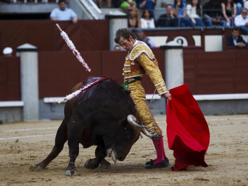 Gobierno de CDMX prohíbe las corridas de toros “con violencia”