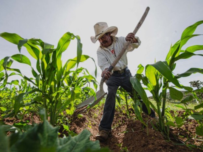 Gobierno de México recibe respaldo del sector agropecuario