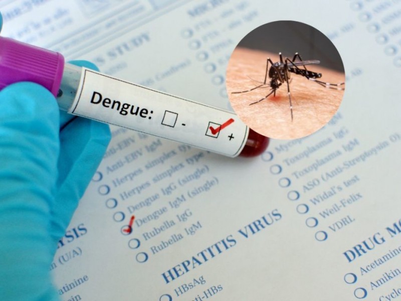 Por campañas de prevención disminuye incidencia de dengue