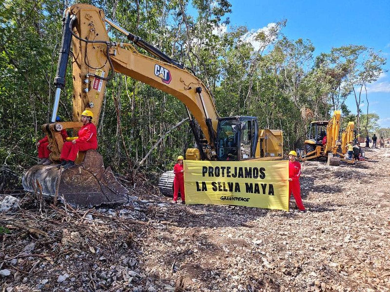 Greenpeace expone daños del Tren Maya en nuevo documental