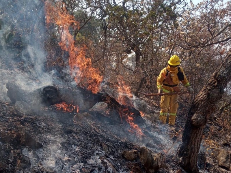 Guerrero tiene 47 incendios forestales activos; SGRPCGro