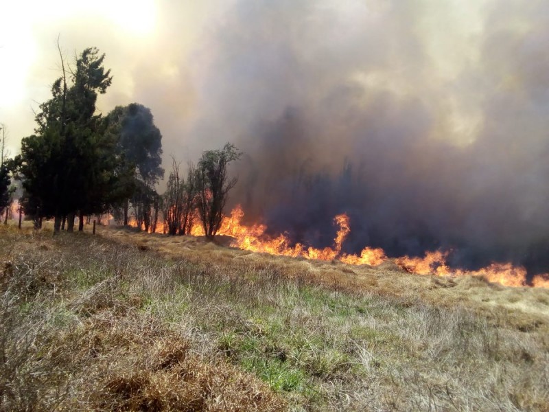 Imponente incendio en zona ecológica de Xochimilco