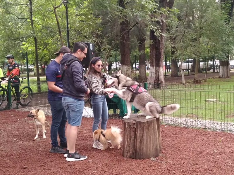 El parque para perros, inaugurado