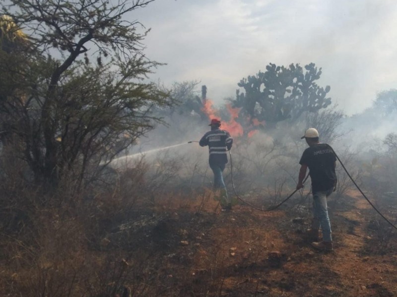 Incendio en Sain Alto consume 50 hectáreas